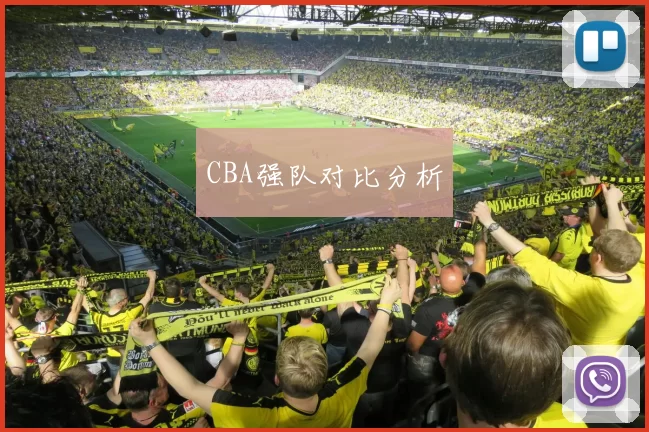 CBA强队对比分析