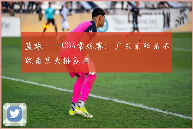 篮球——CBA常规赛：广东东阳光不敌南京头排苏酒