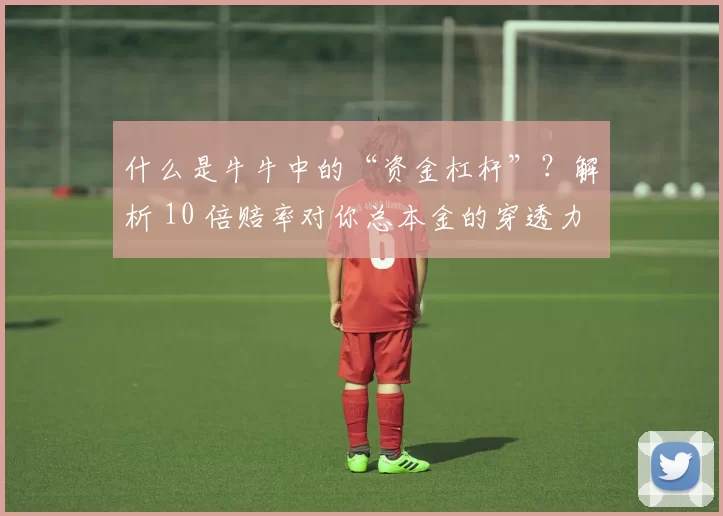 什么是牛牛中的“资金杠杆”？解析 10 倍赔率对你总本金的穿透力。（牛牛中的资金杠杆是什么？解读10倍赔率对你总本金的影响）