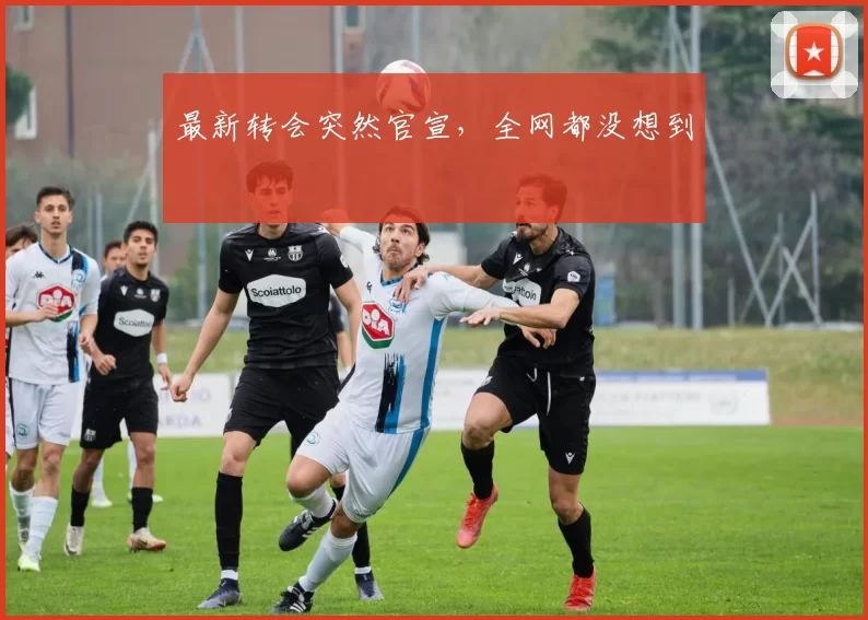 最新转会突然官宣，全网都没想到