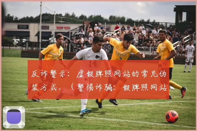 反诈警示：虚假牌照网站的常见伪装方式。（警惕诈骗：假牌照网站惯用伪装术）