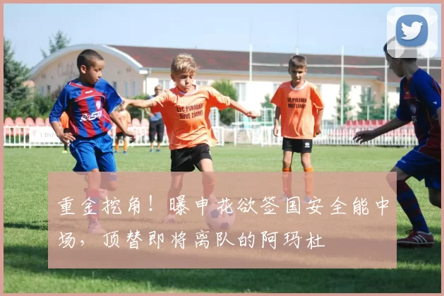 重金挖角！曝申花欲签国安全能中场，顶替即将离队的阿玛杜